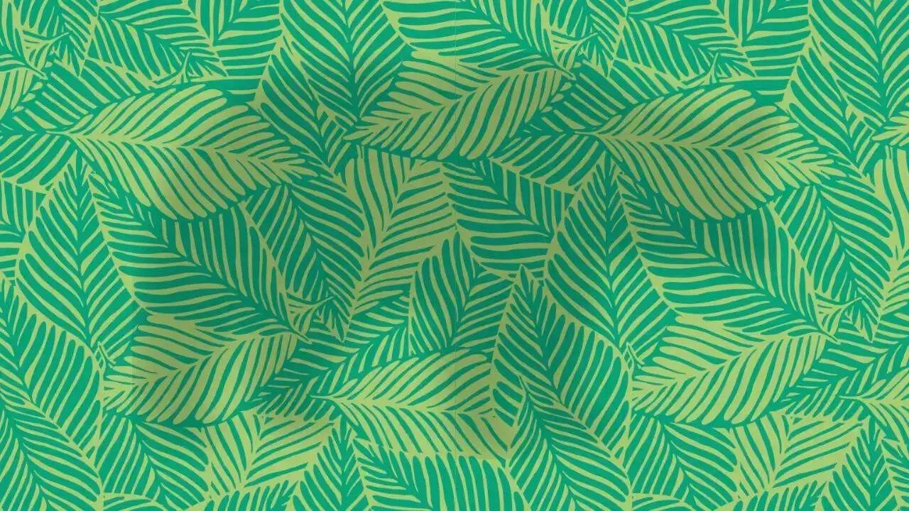 Optical Illusion