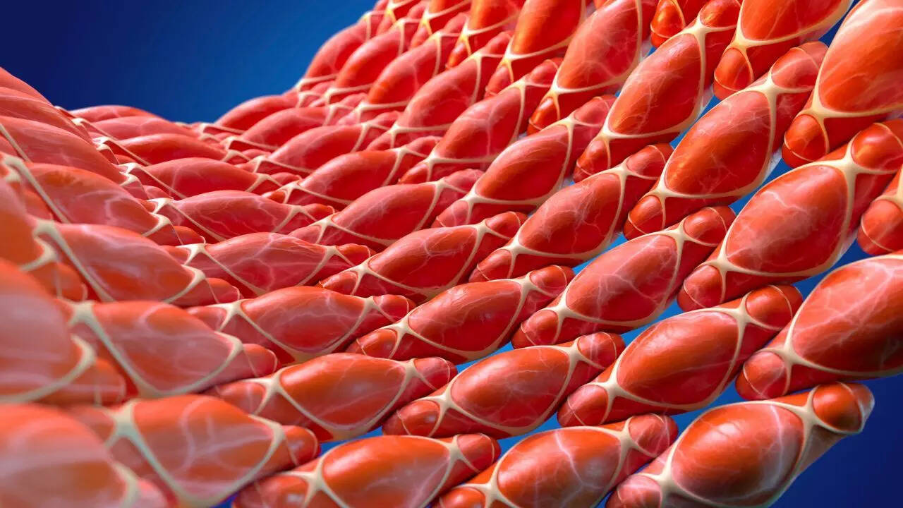 Representational image. Credits: Canva