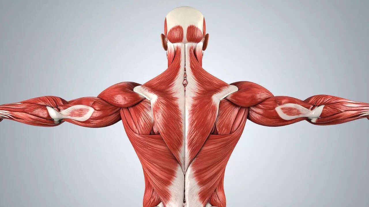 Representational image. Credits: Canva