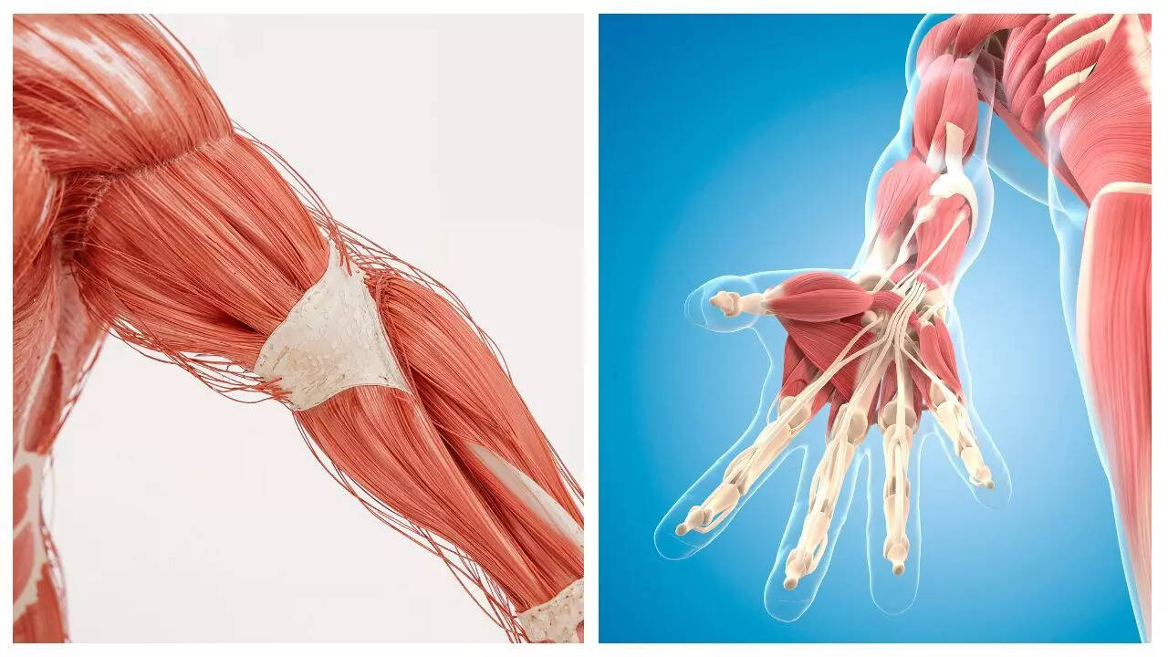 Representational image. Credits: Canva