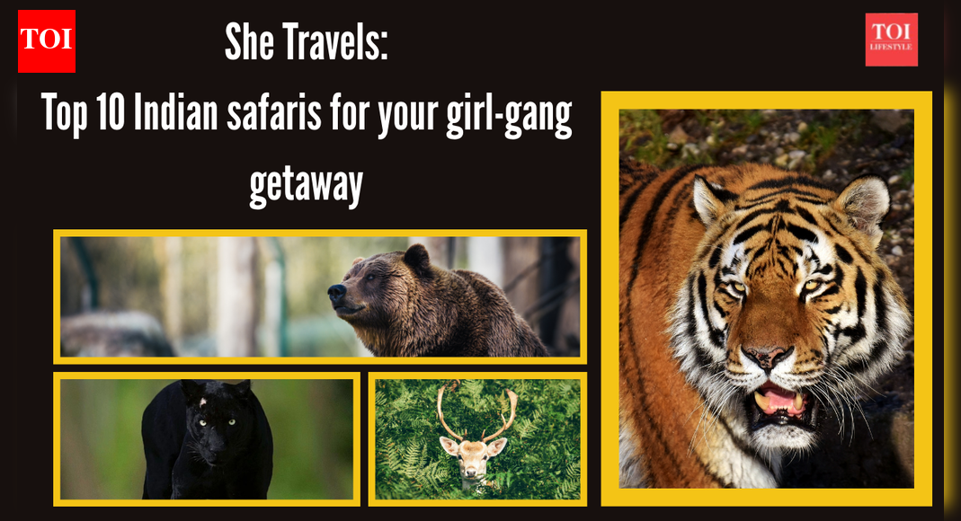 10 wildlife safaris every woman should experience with her girl gang (India edition)