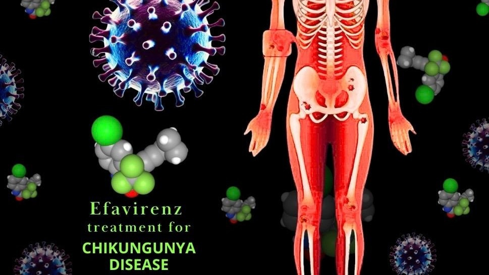 IIT Roorkee researchers discover potential drug to treat Chikungunya