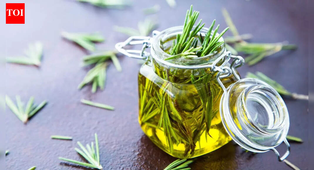 Rosemary oil can be your solution for hairfall and dandruff; know how to use |